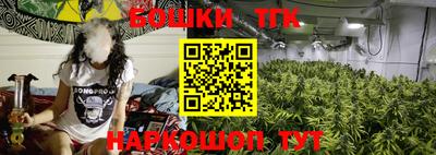 стафф Заводоуковск