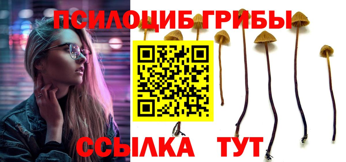 Людиново  Псилоцибиновые грибы Psilocybine cubensis  где продают наркотики  Вход с VPN 